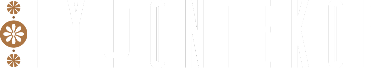 Gypsodecor Logo